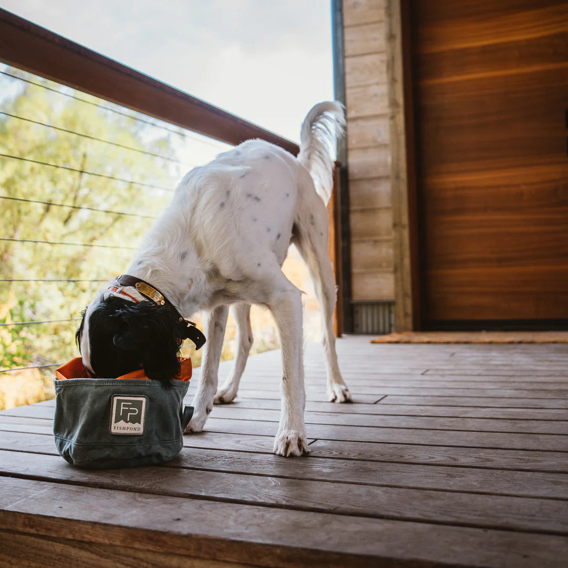 Fishpond Bow Wow Travel Food Bowl