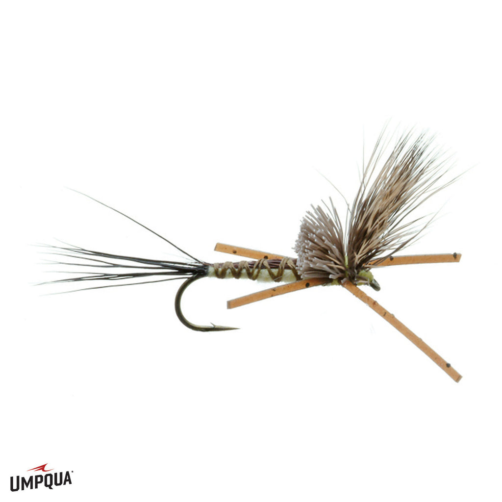 Brown Drake Nealley