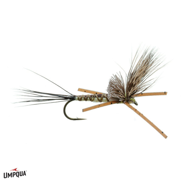 Brown Drake Nealley