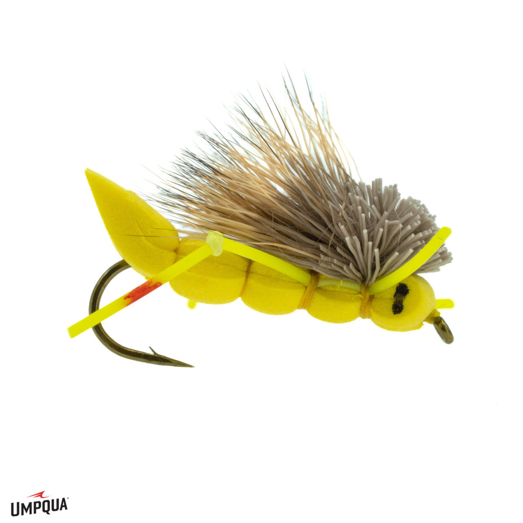 Charlie Boy Hopper