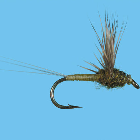 CDC Biot Comparadun Callibaetis