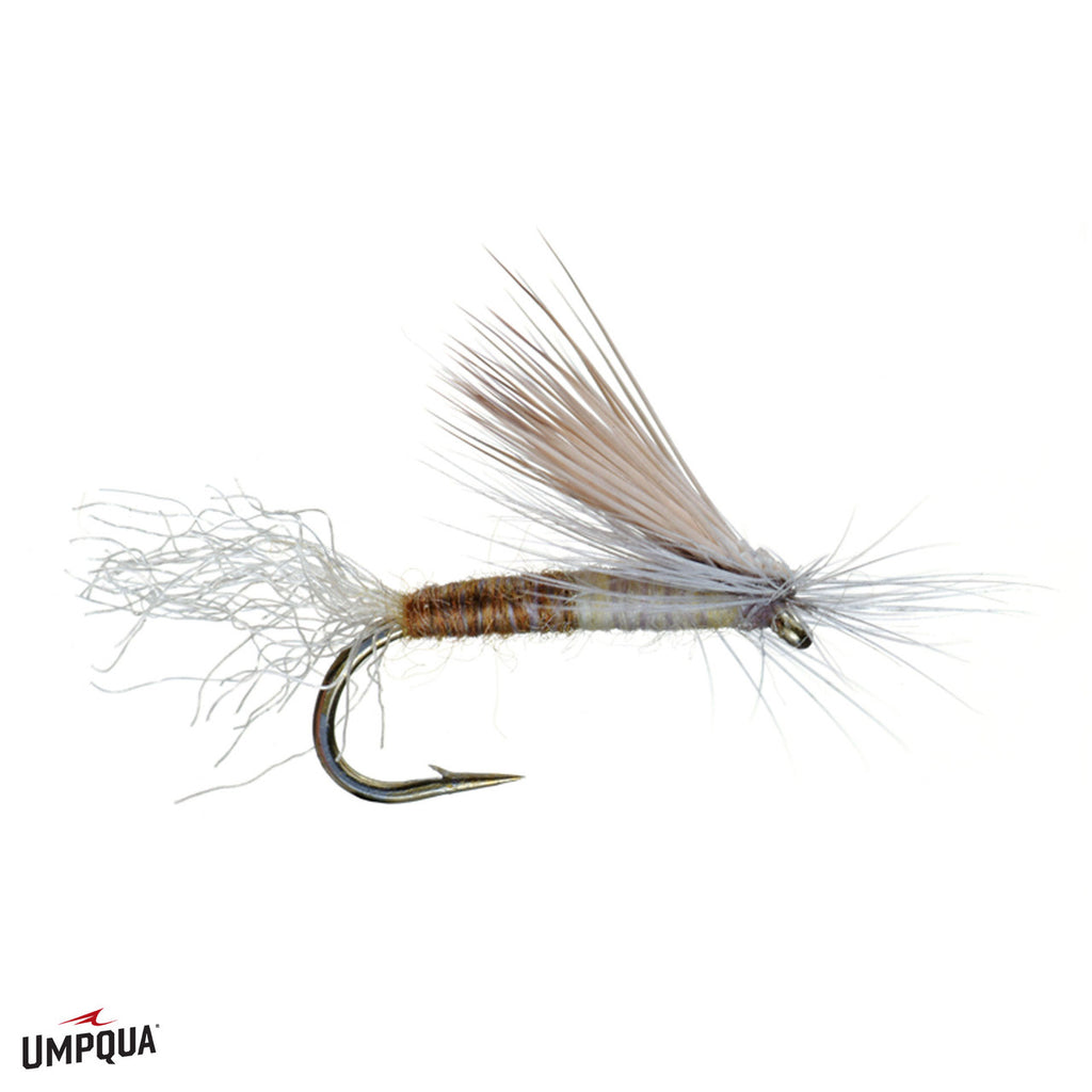 Cutter's E/C Caddis