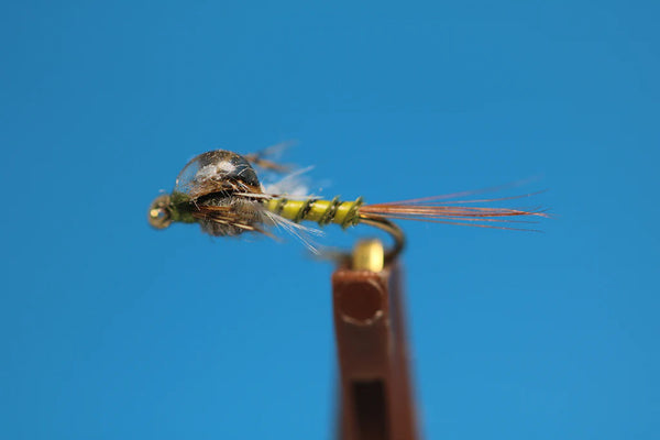 Poxyback BWO
