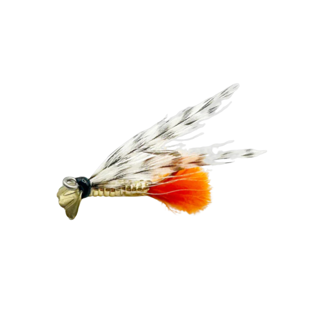 Fish-Skull Bonefish Special