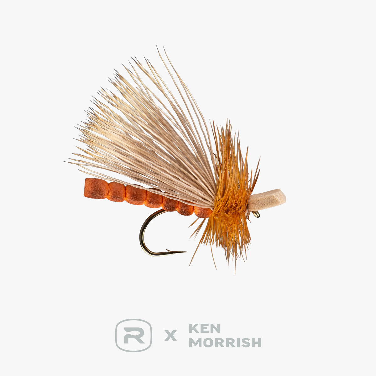 Morrish's October Caddis Adult