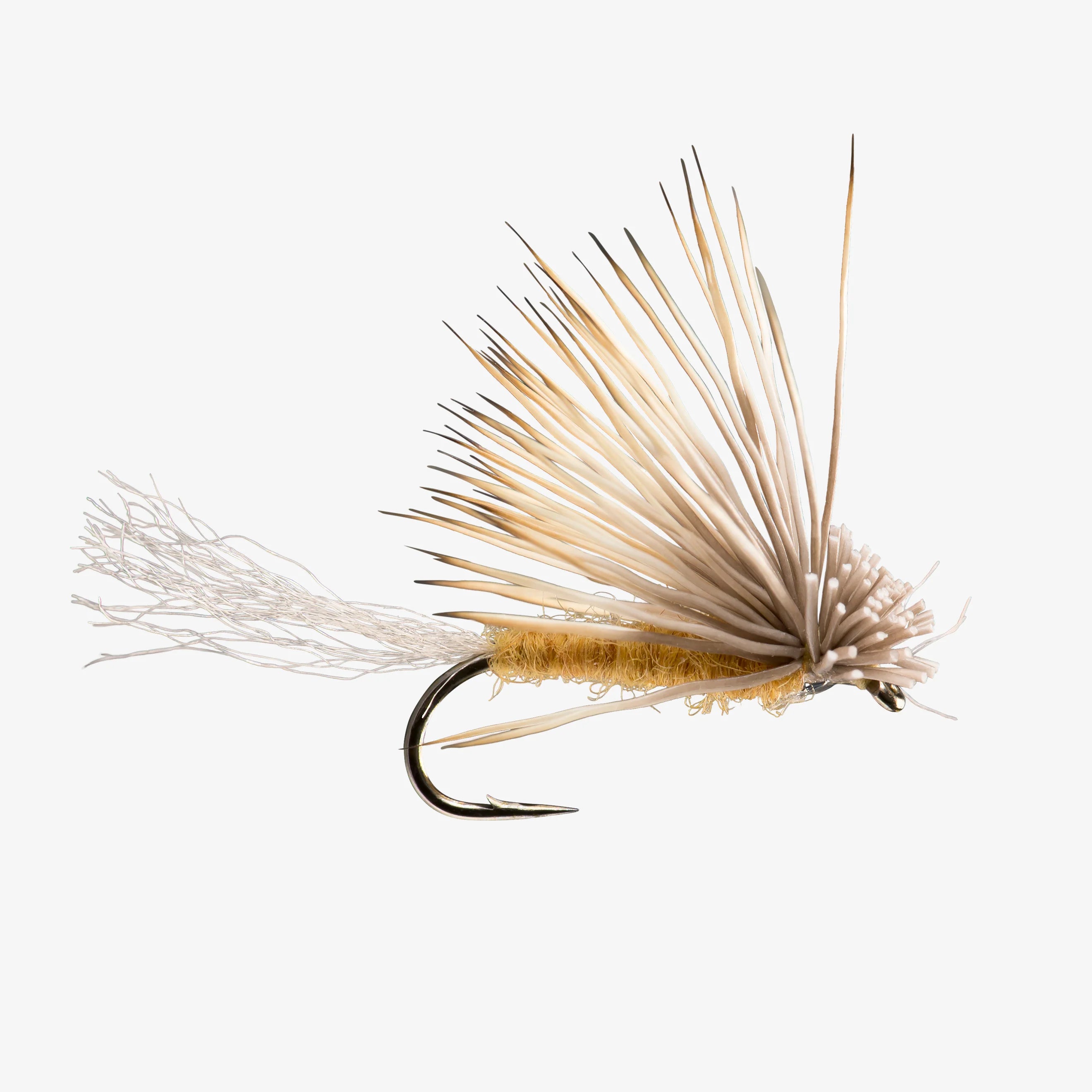 X Caddis