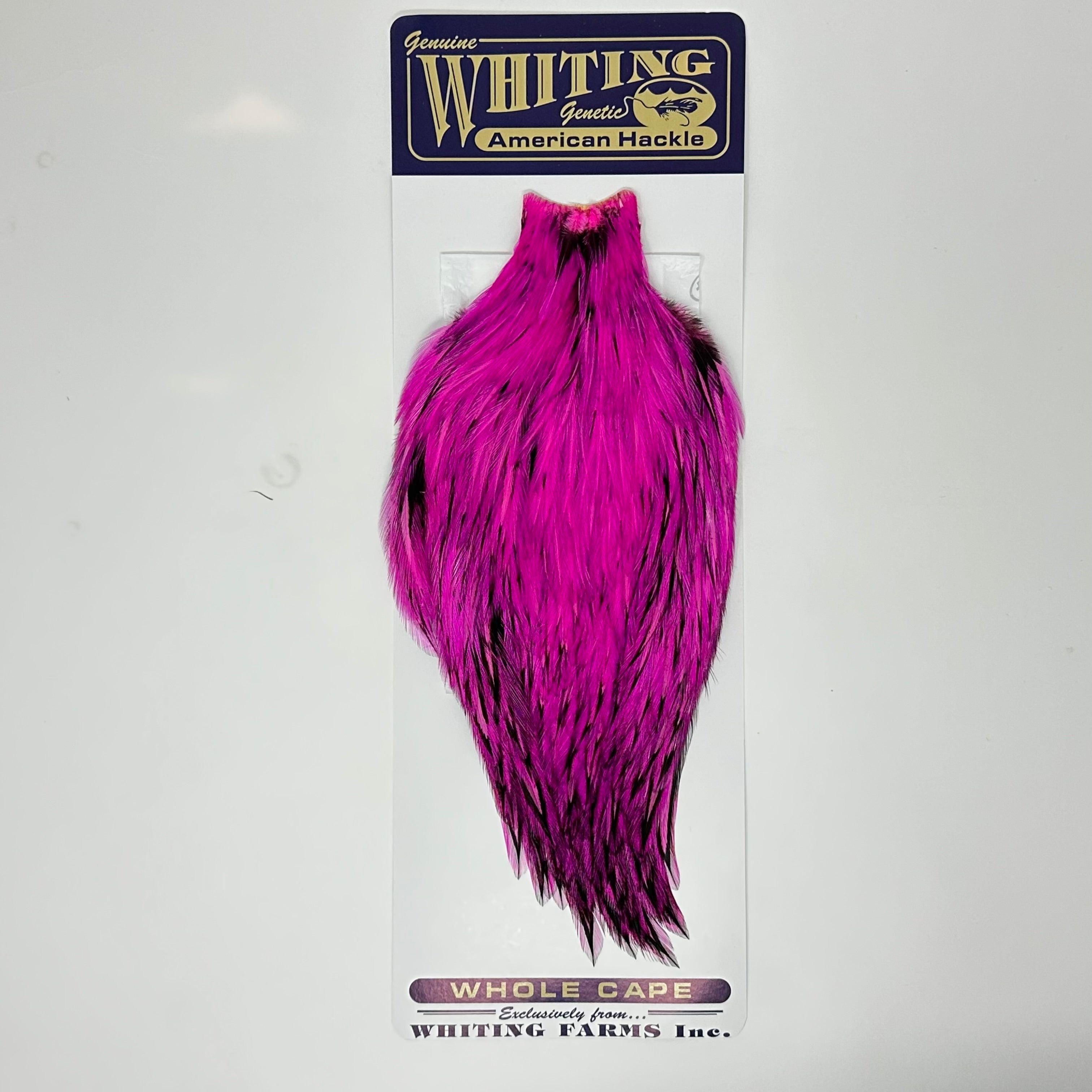Whiting American Rooster Cape White Laced