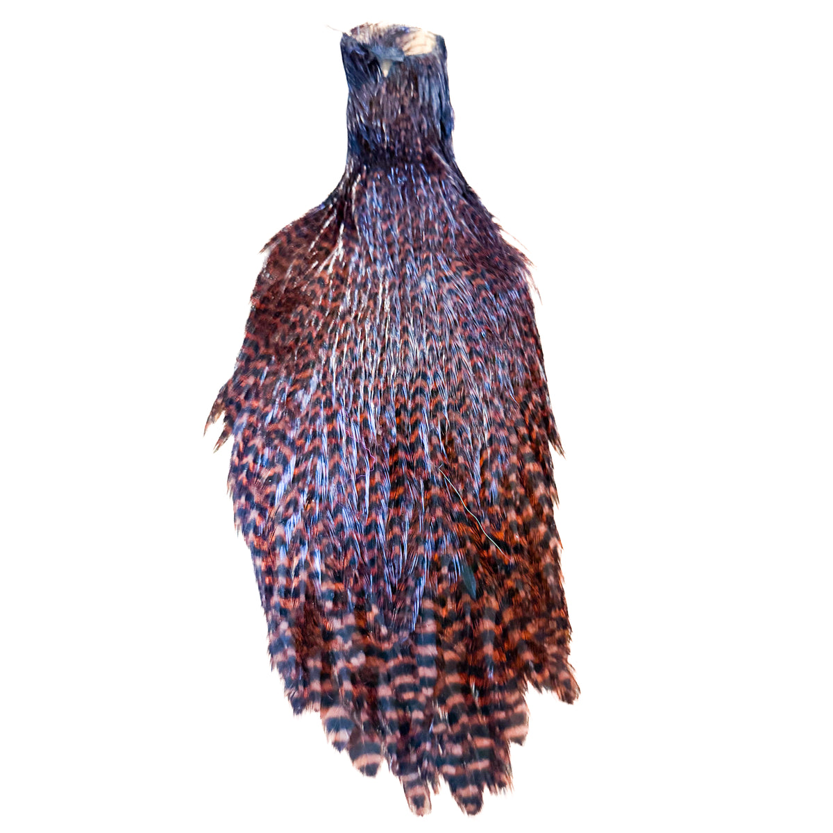 Grizzly Hen Cape