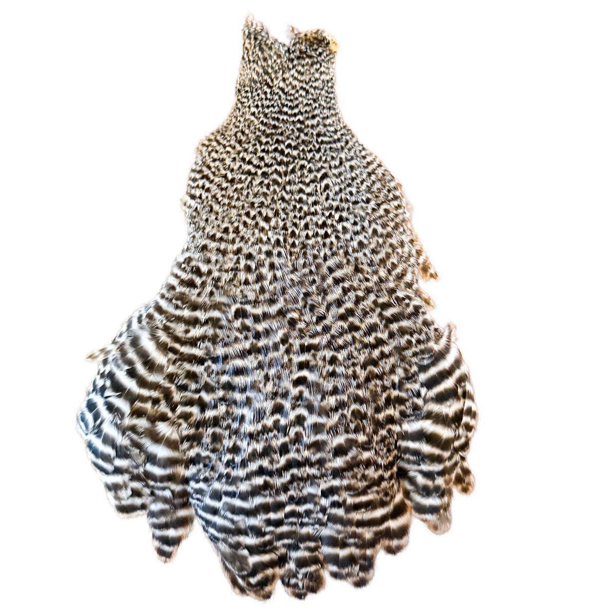 Grizzly Hen Cape