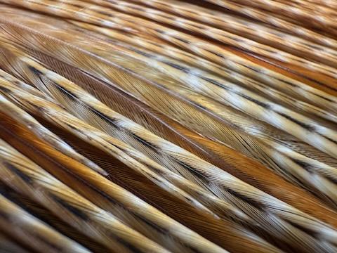 Whiting Farms Half Saddle-Bronze