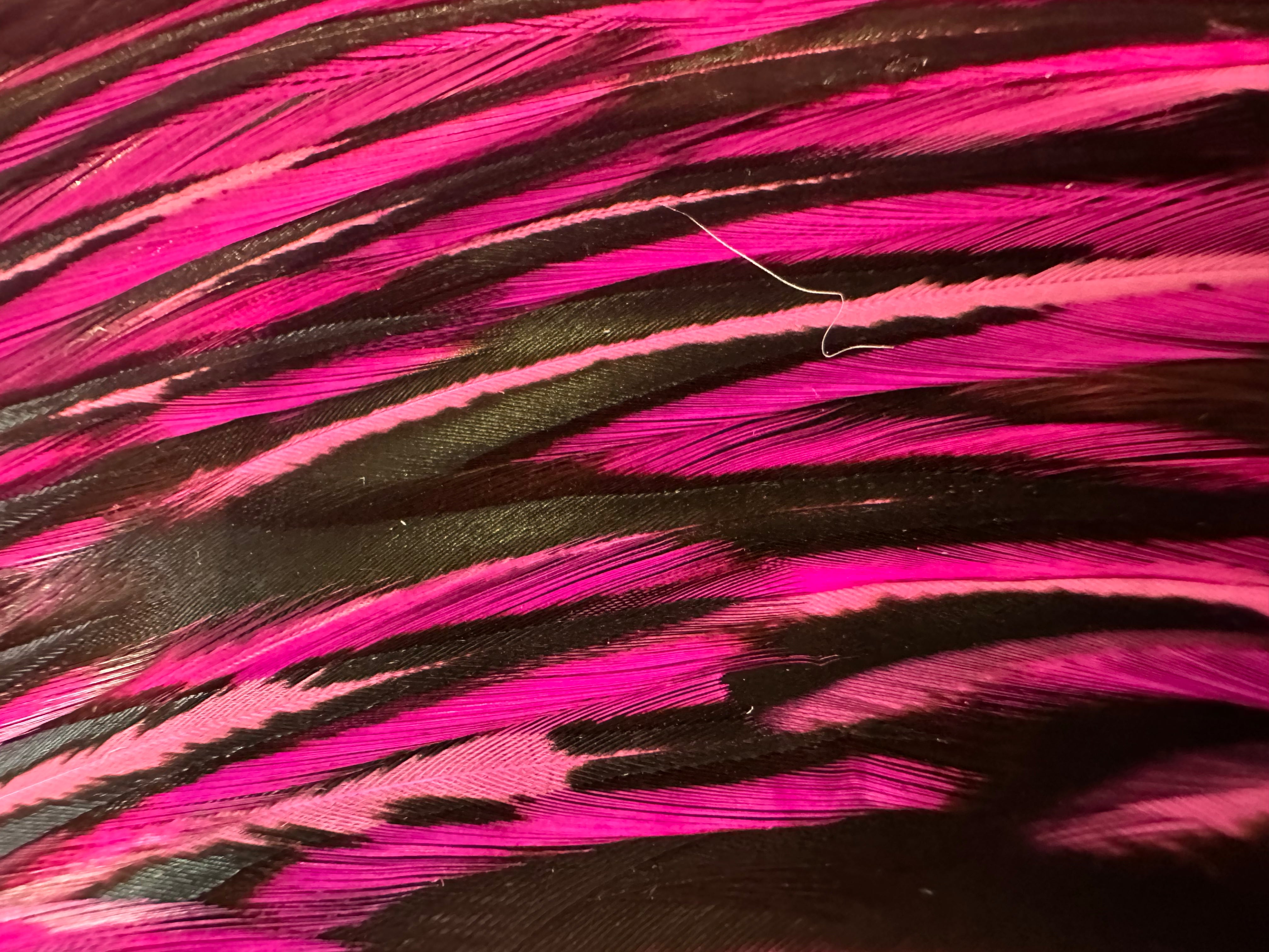 Whiting Farms American Rooster Saddle-Black Laced White