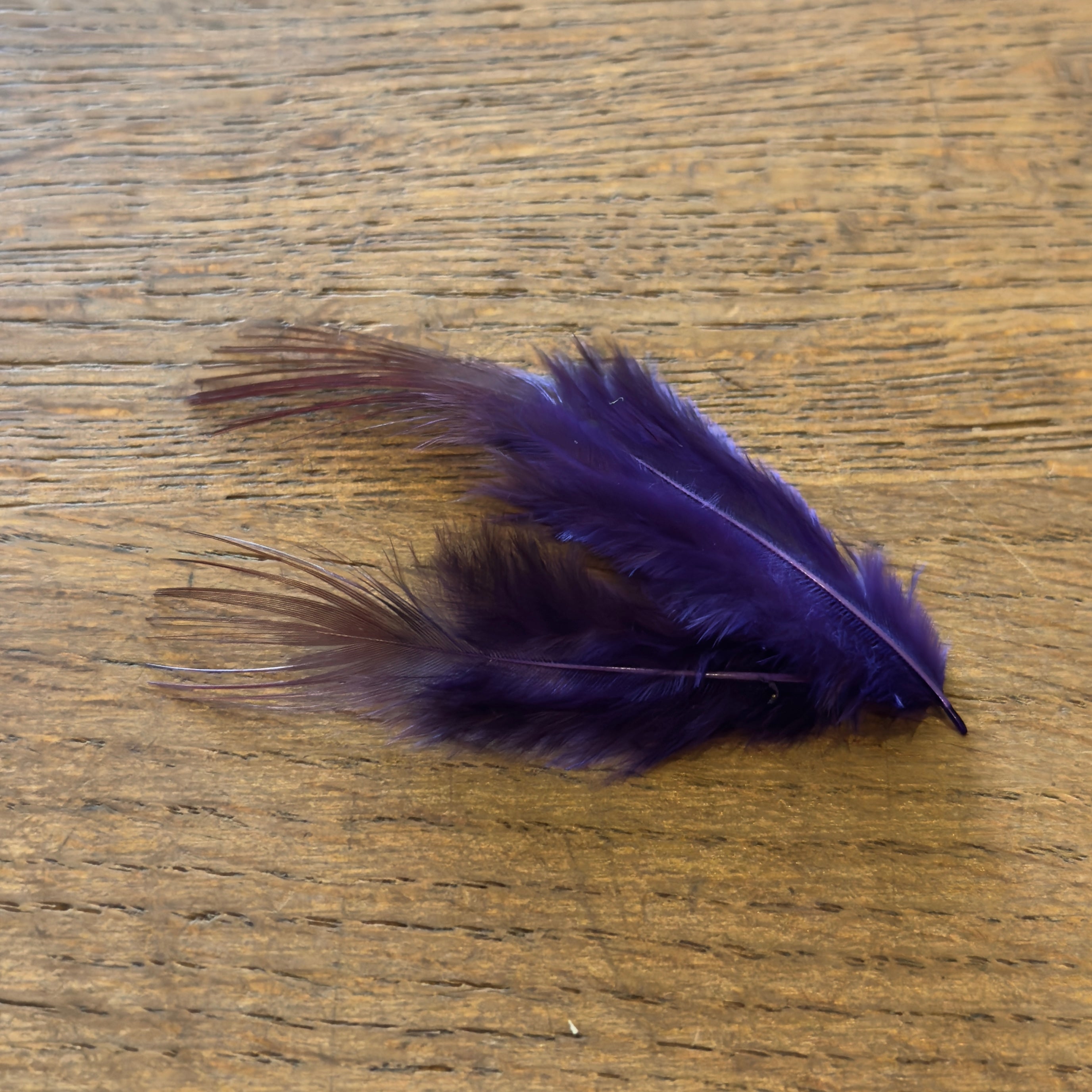 Golden Pheasant Flank Feathers