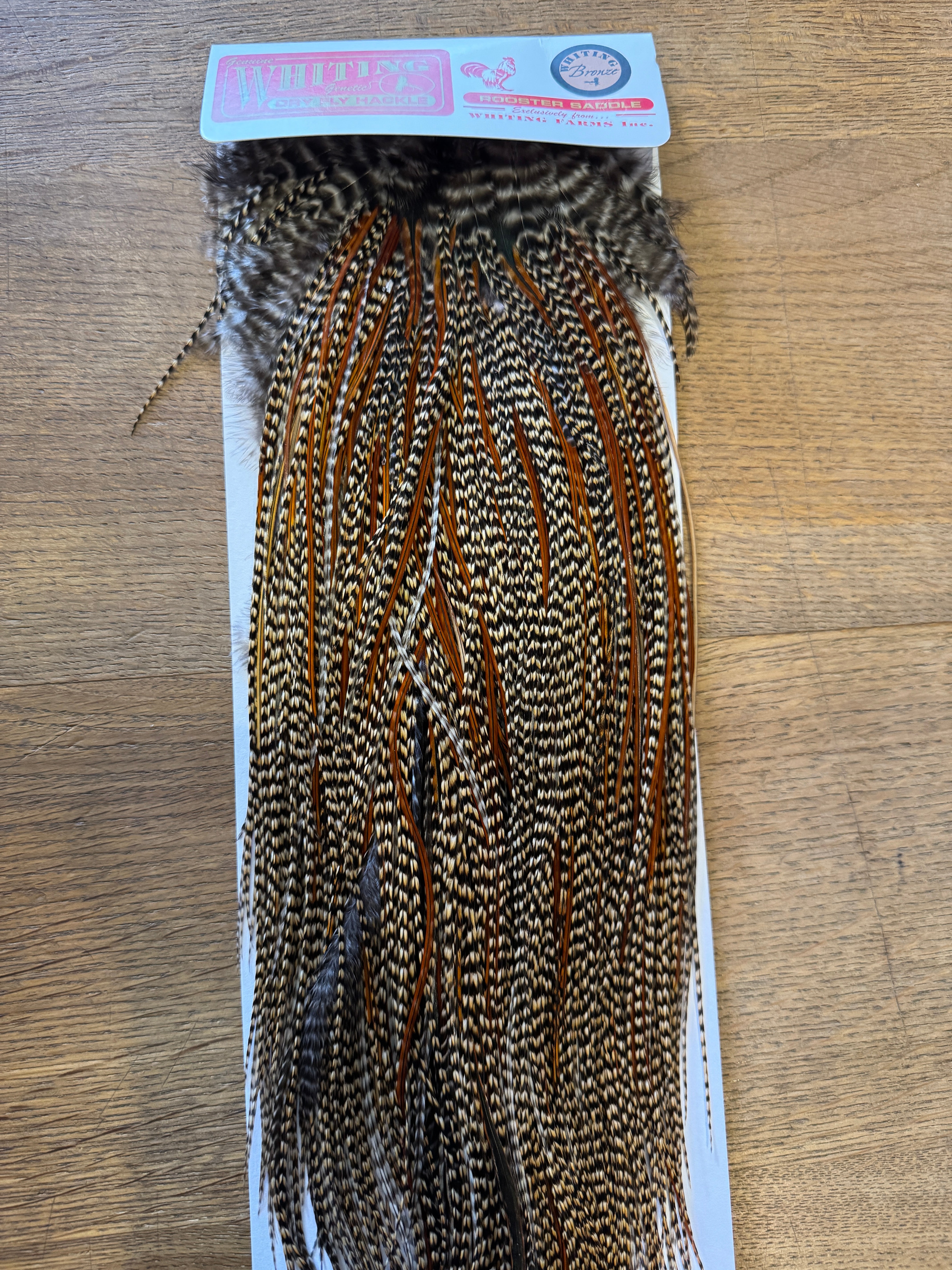 Whiting Farms Bronze Saddle