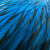 Whiting American Rooster Cape White Laced