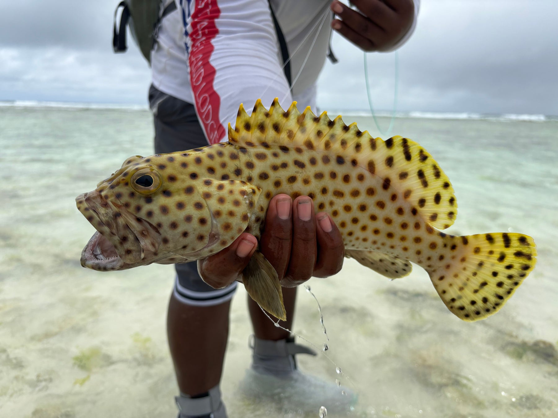 Christmas Island Lodge