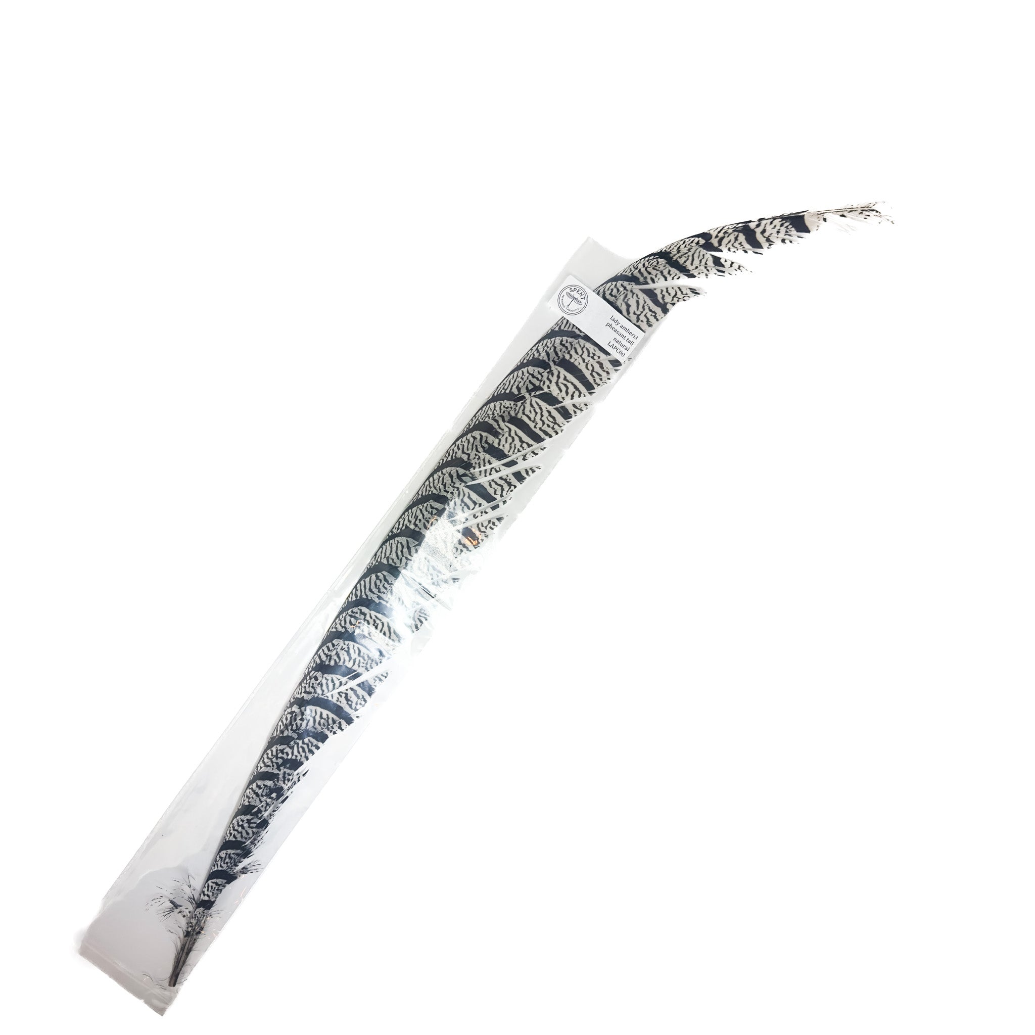 Spent Lady Amherst Center Tail Feather