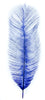 MFC Ostrich Plume