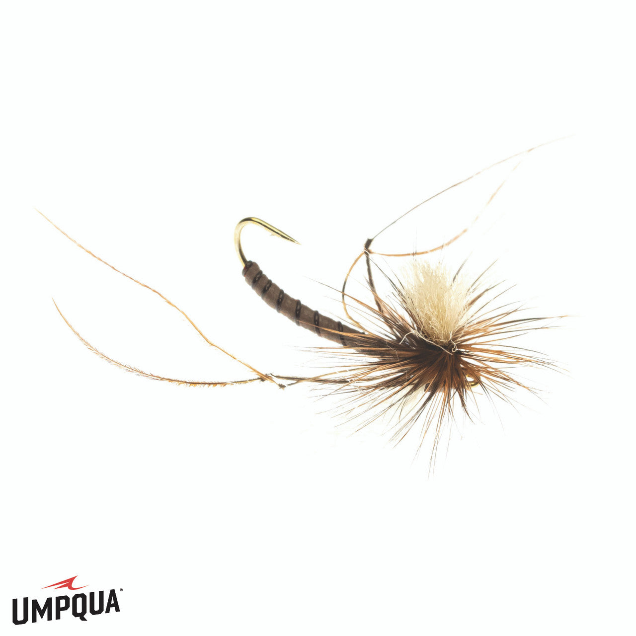 Josh's Cosmic Crane Fly