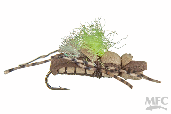 MFC Taylor's Fat Albert