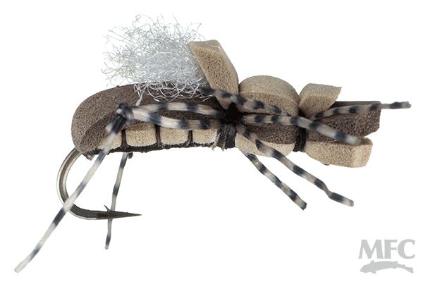 MFC Taylor's Fat Albert