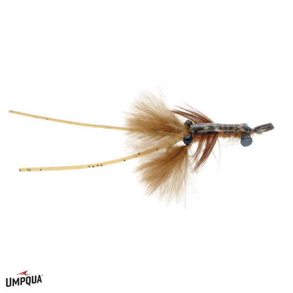 Micro Crayfish, 8