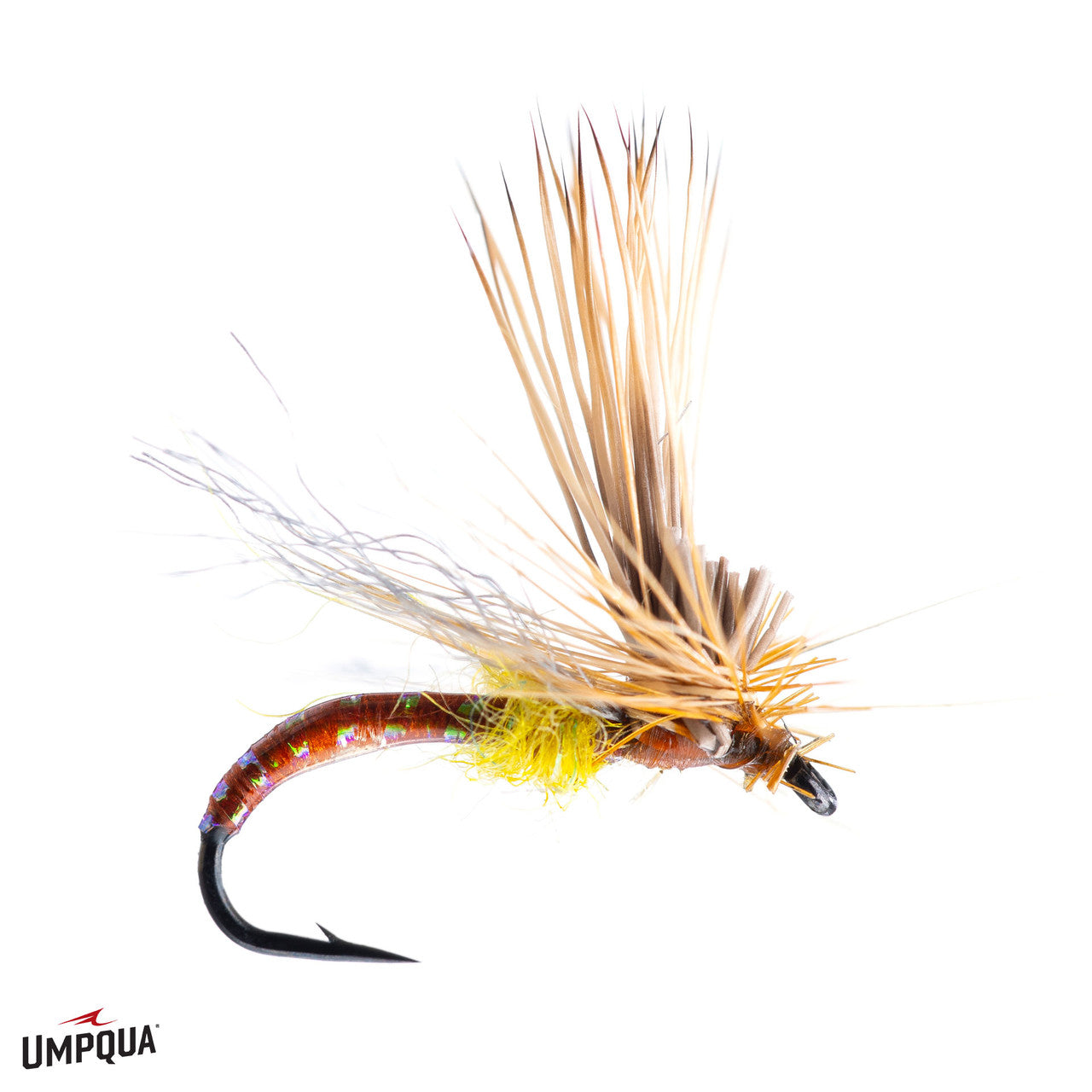 Mercer's Missing Link