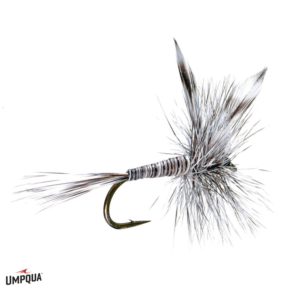 Mosquito Midge