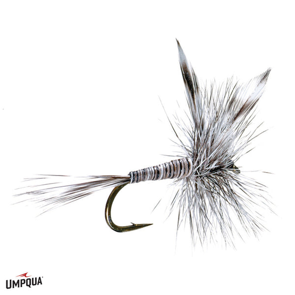 Mosquito Midge