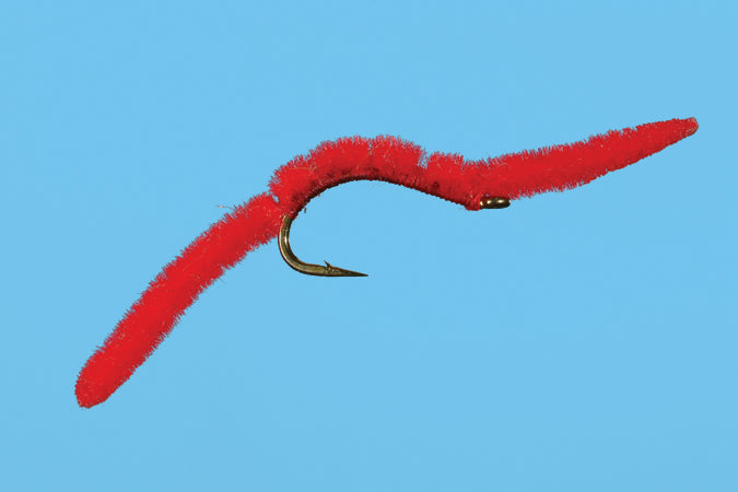 San Juan Worm
