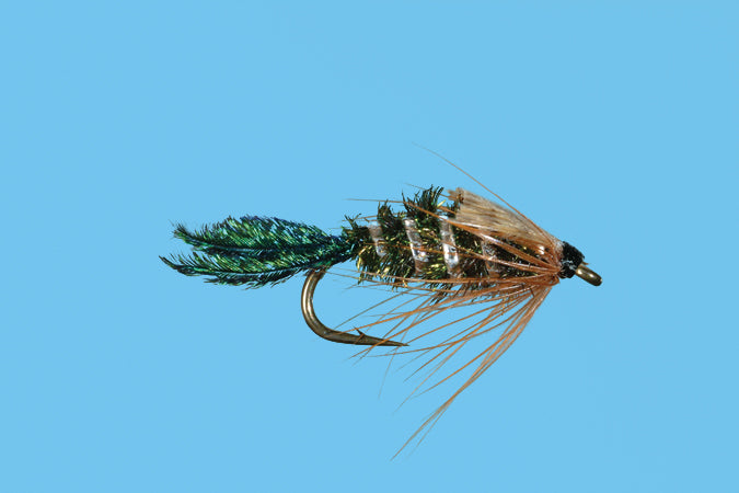 Zug Bug