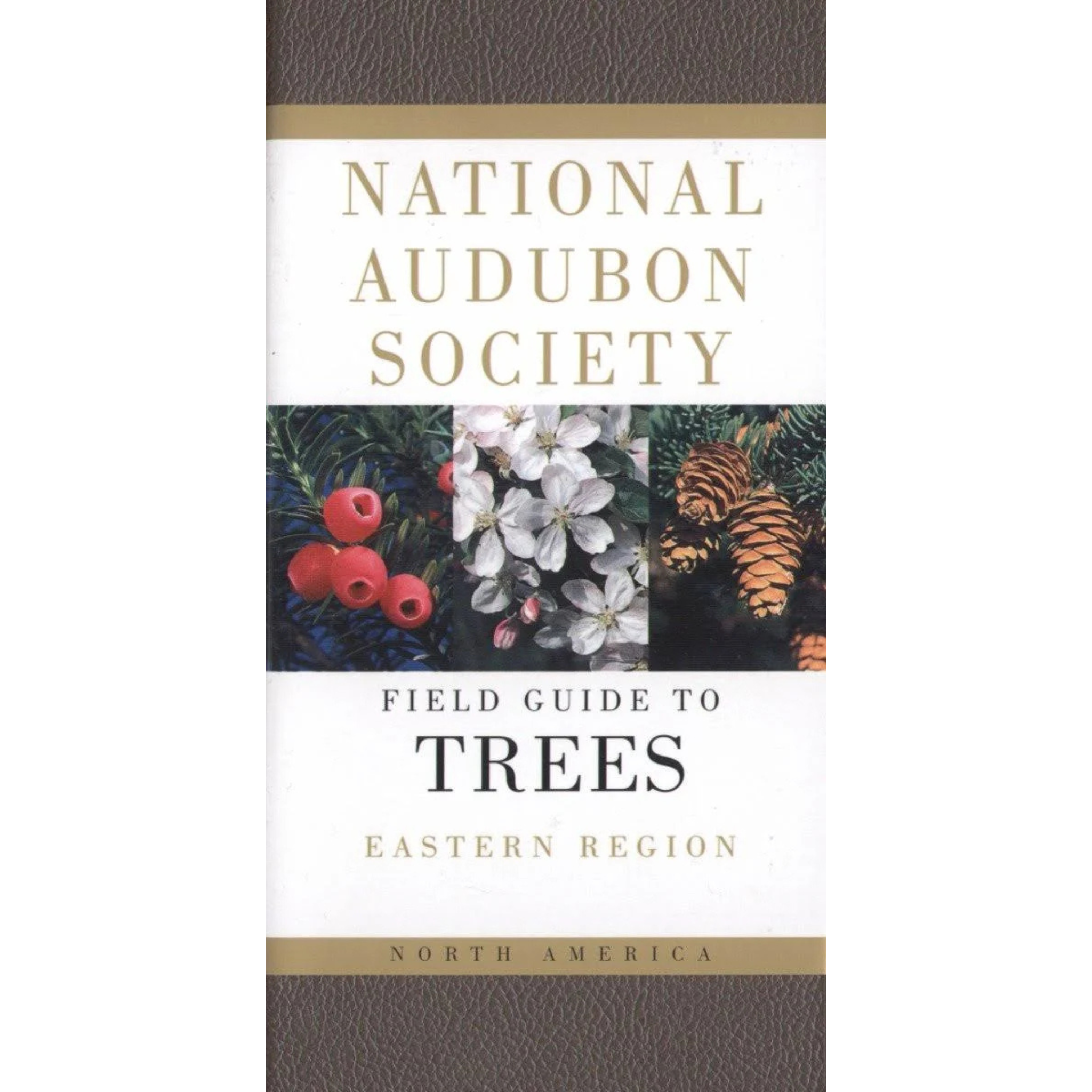 Adubon Pocket Guide: Trees