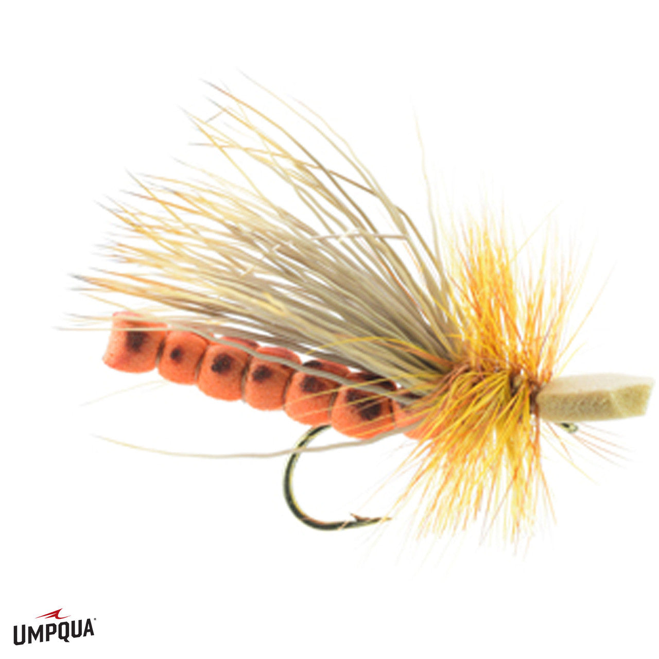 Morrish's October Caddis Adult