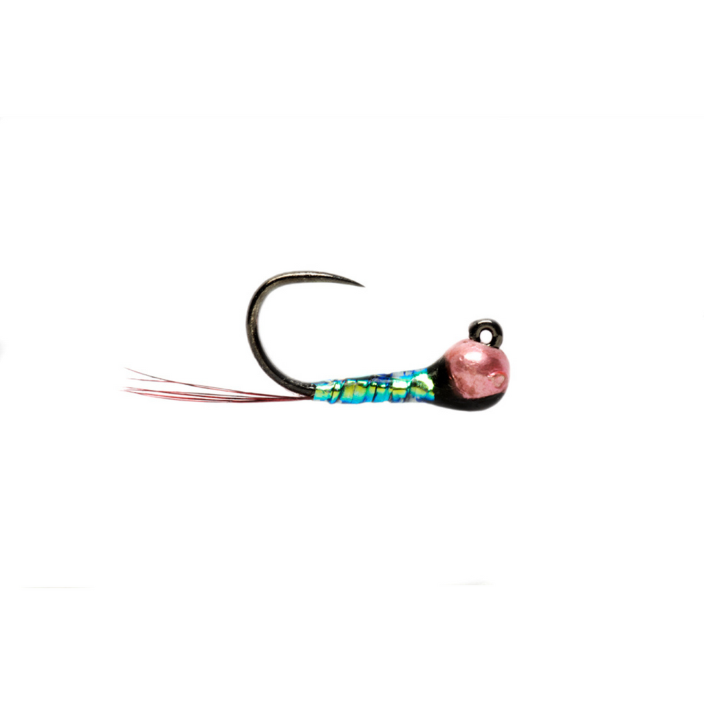 Oil Slick Perdigon Barbless