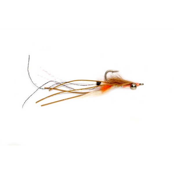 Petersons Spawning Shrimp