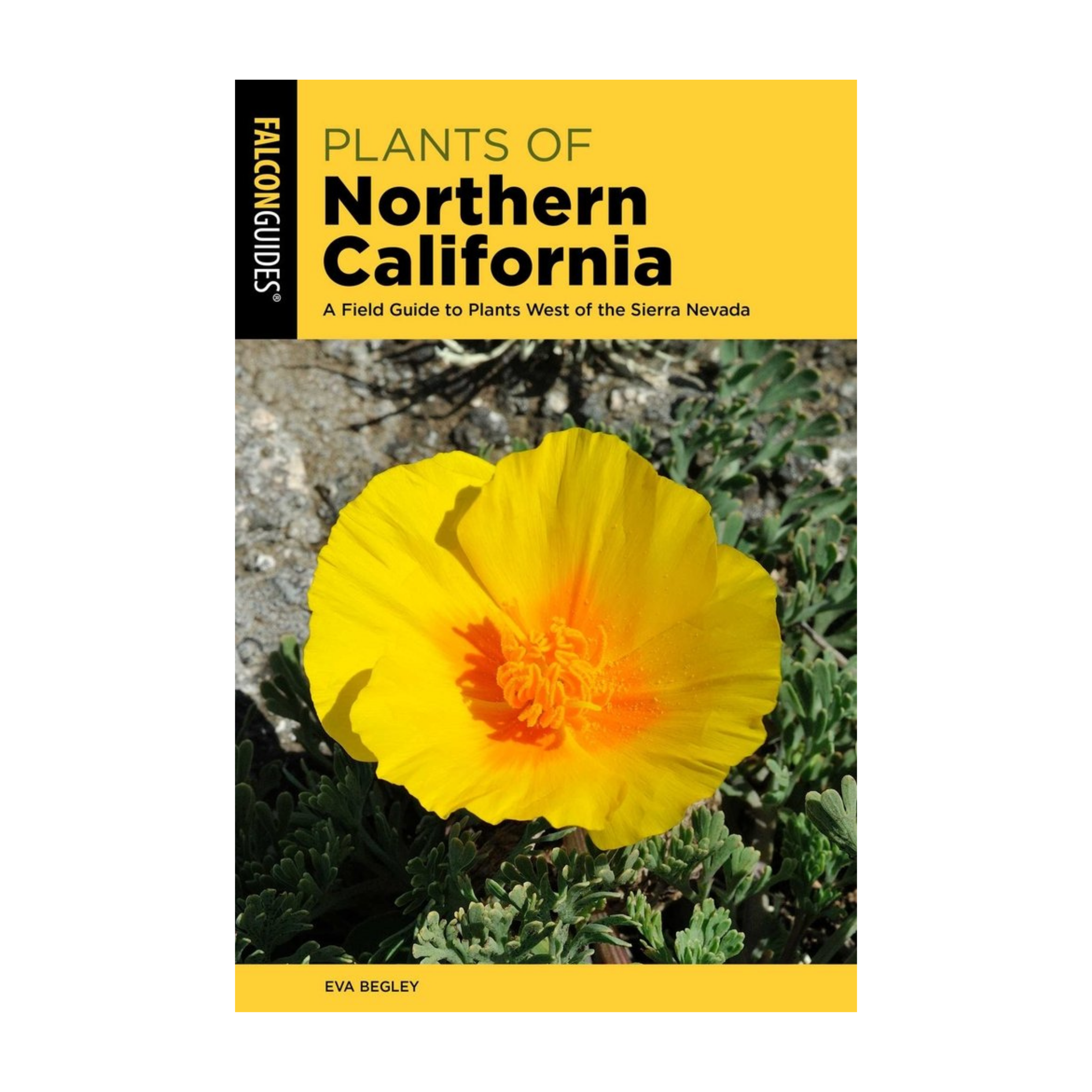 Plants of Northern California