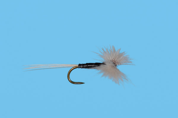 CDC Spinner Trico