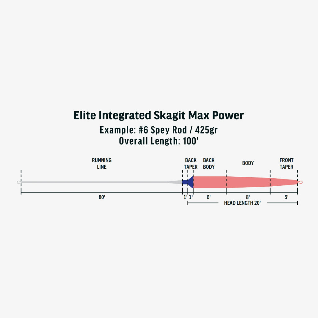 Rio Elite Integrated Skagit Max - Power