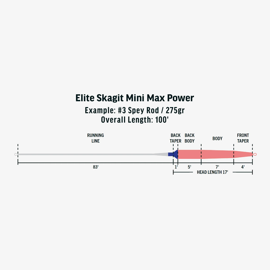 Rio Elite Integrated Skagit Max - Mini-Power