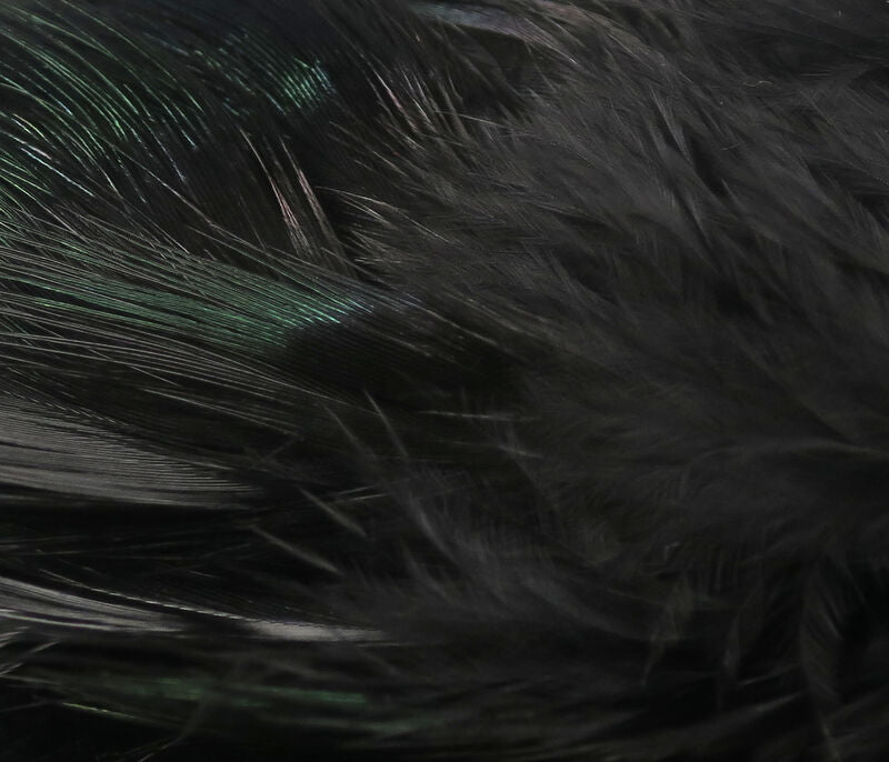 Strung Ringneck Rump Feathers