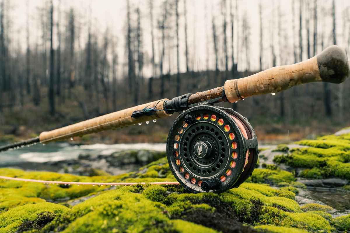 Sage Spey II Fly Reel