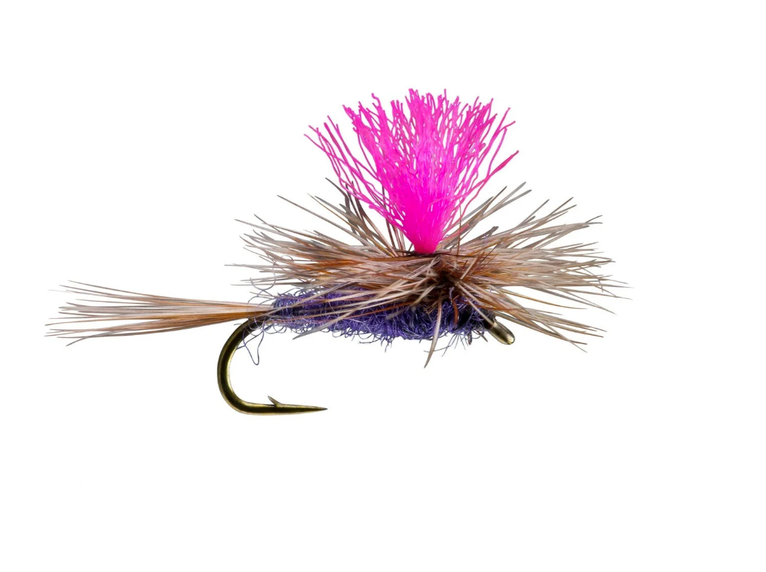 Hi Vis Parachute Purple