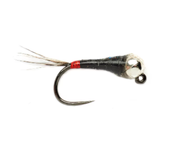 Spanish Bullet French