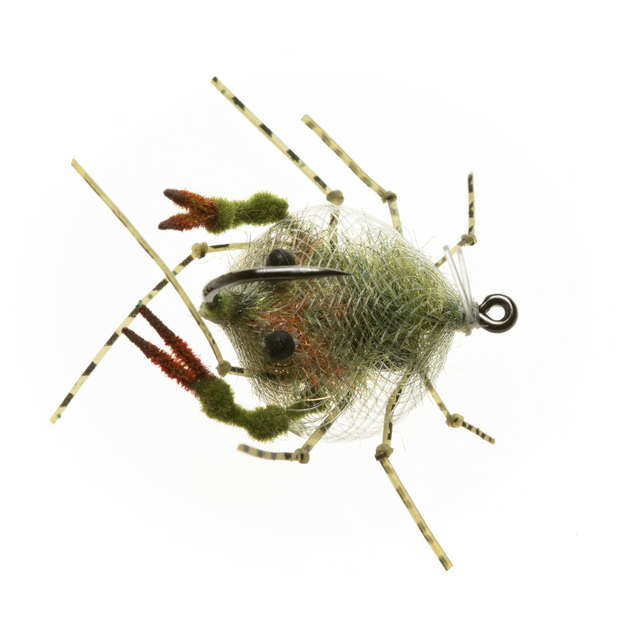 EP Descendent Crab - Olive