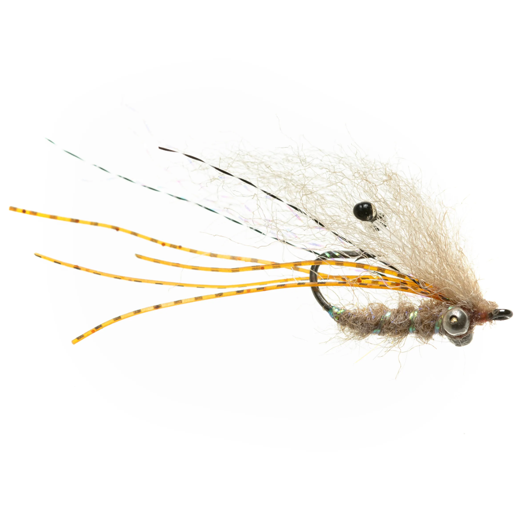 EP Ghost Shrimp - Bead Chain Eyes