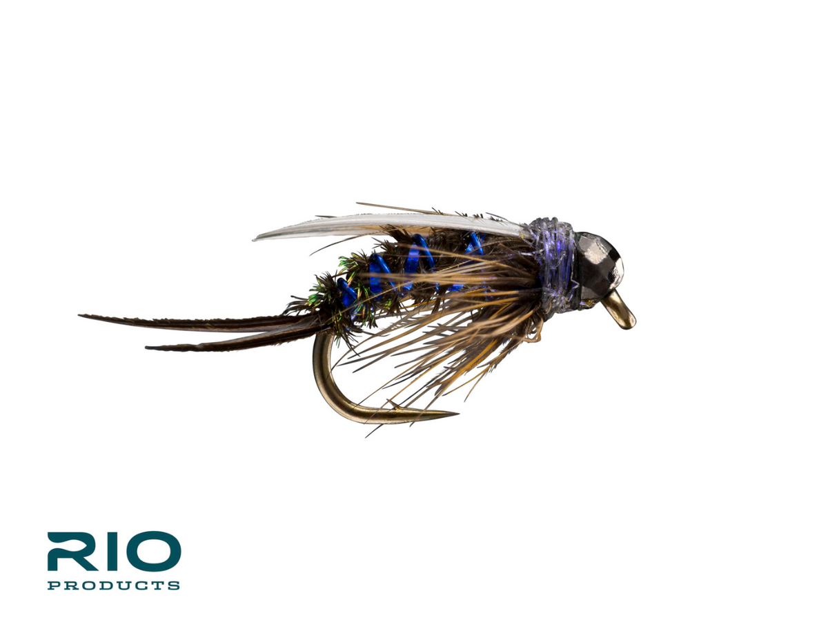 Holo Prince - 14 - Blue