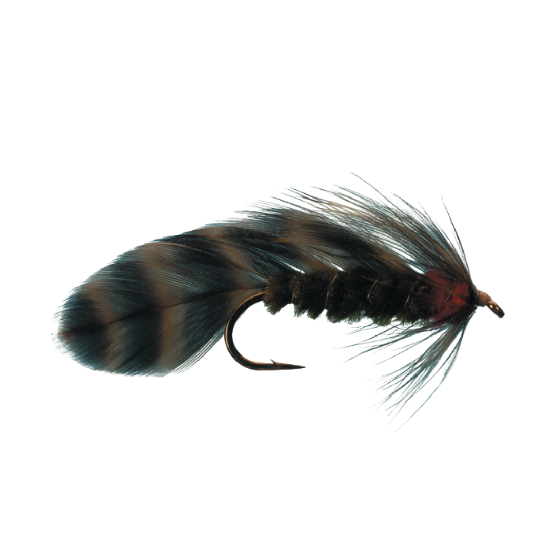 Matuka