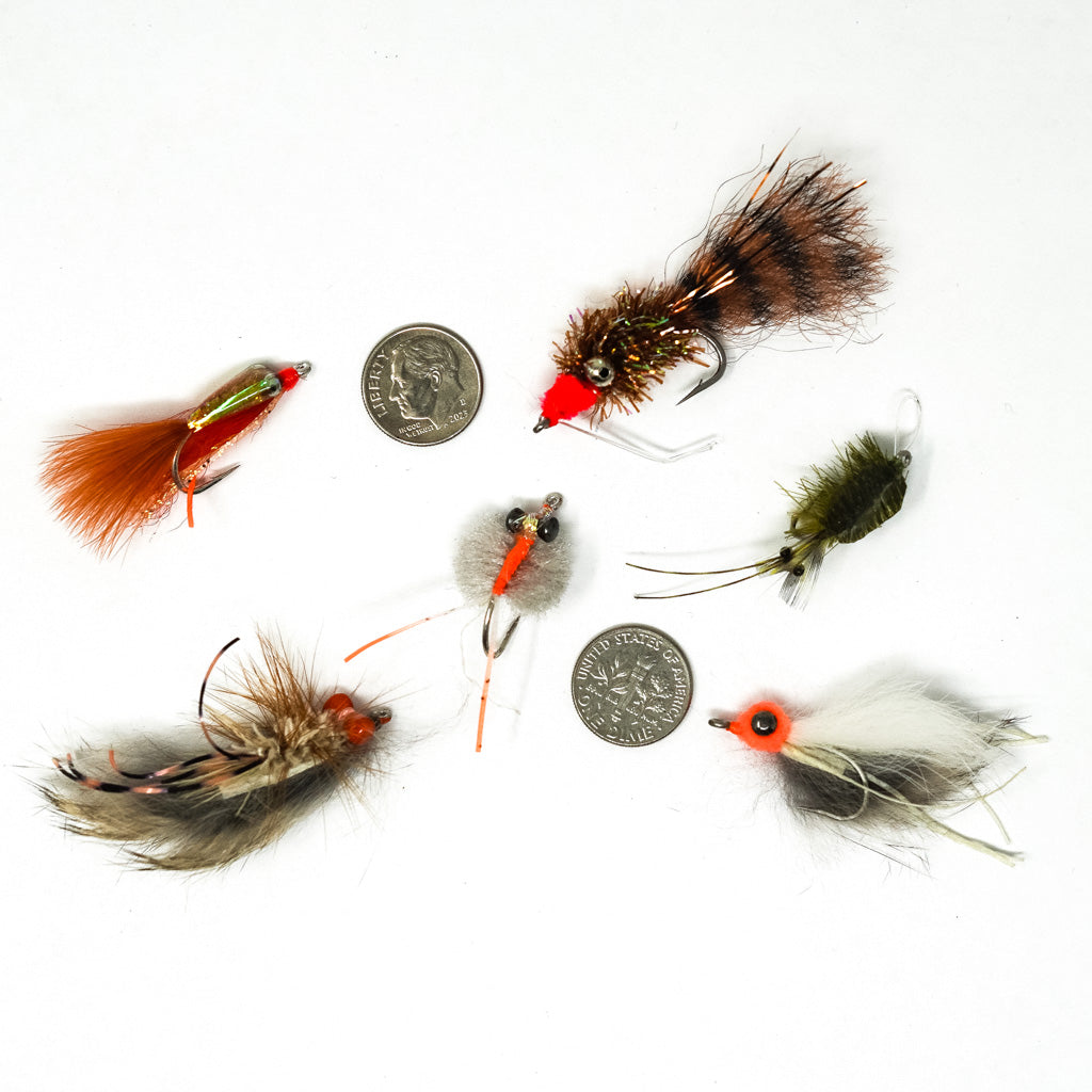 SoCal Surf Fly 6 Pack