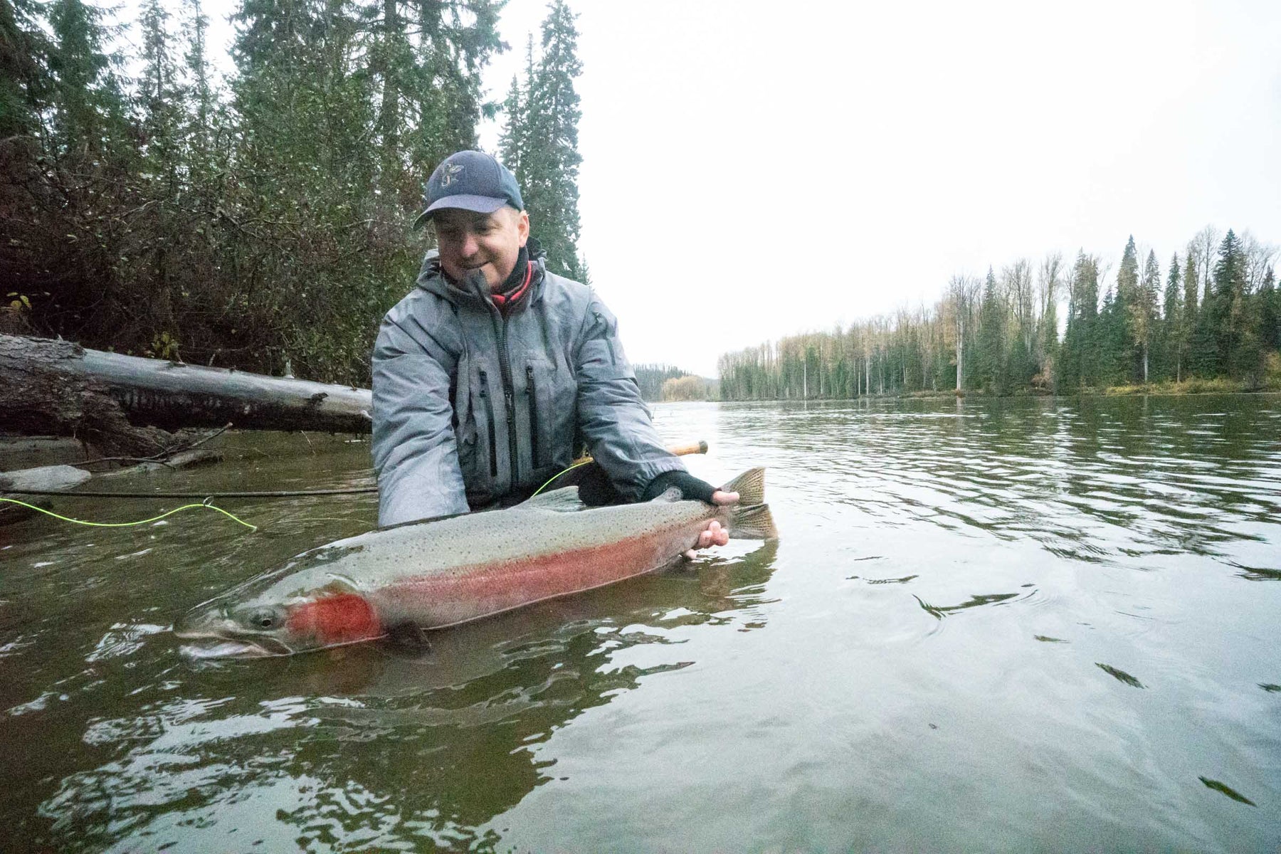 Suskeena Lodge — Wild Steelhead on the Sustut