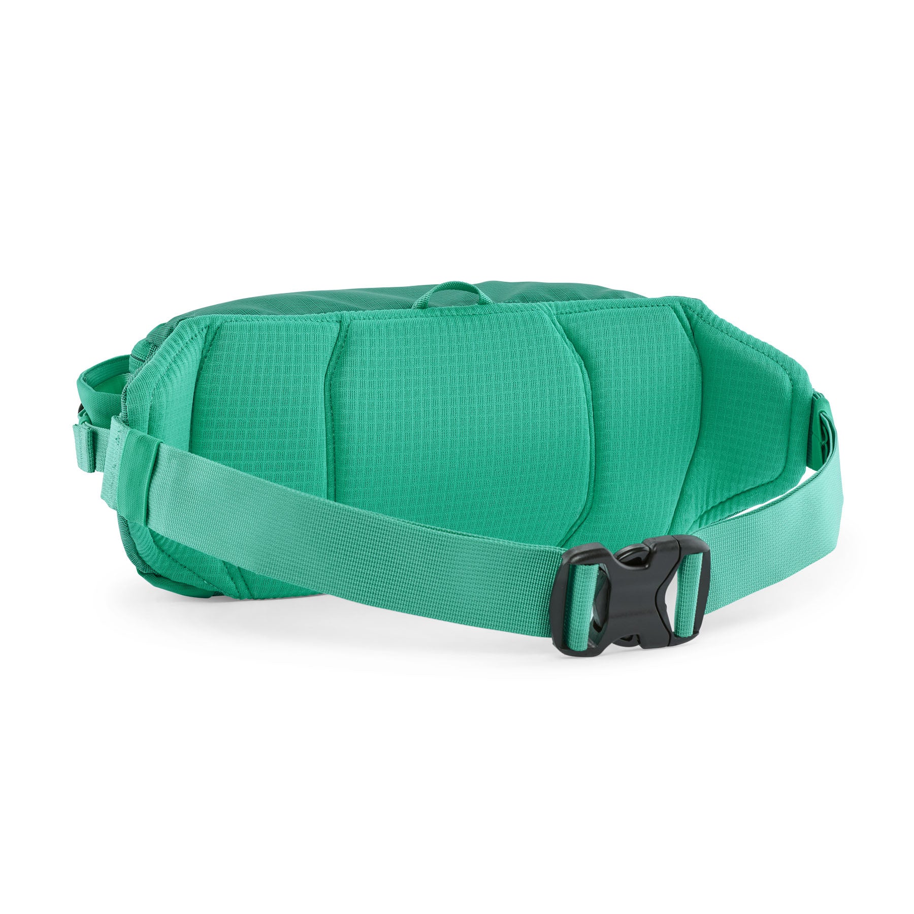 Patagonia Black Hole Waist Pack 5L