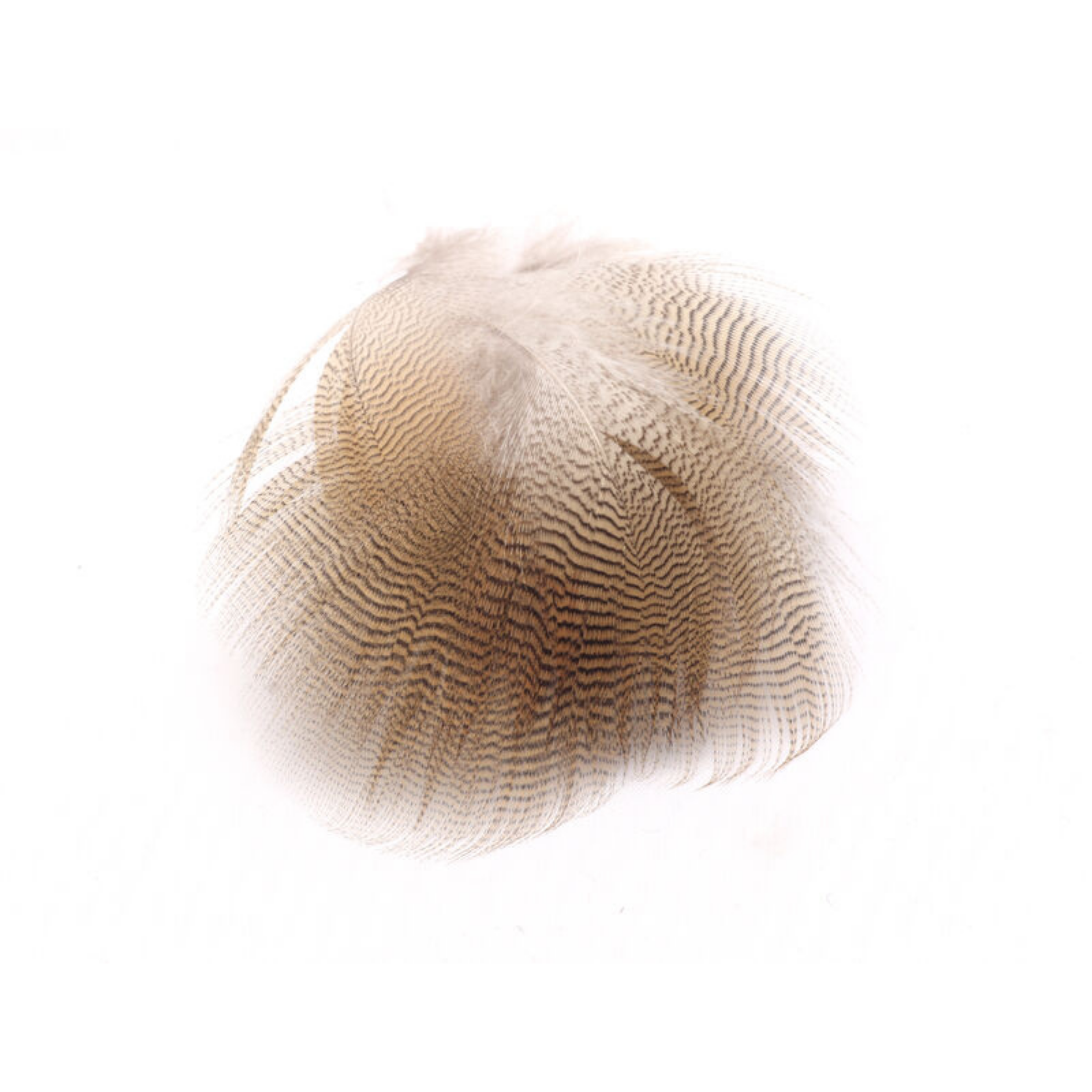 Woodduck Feathers